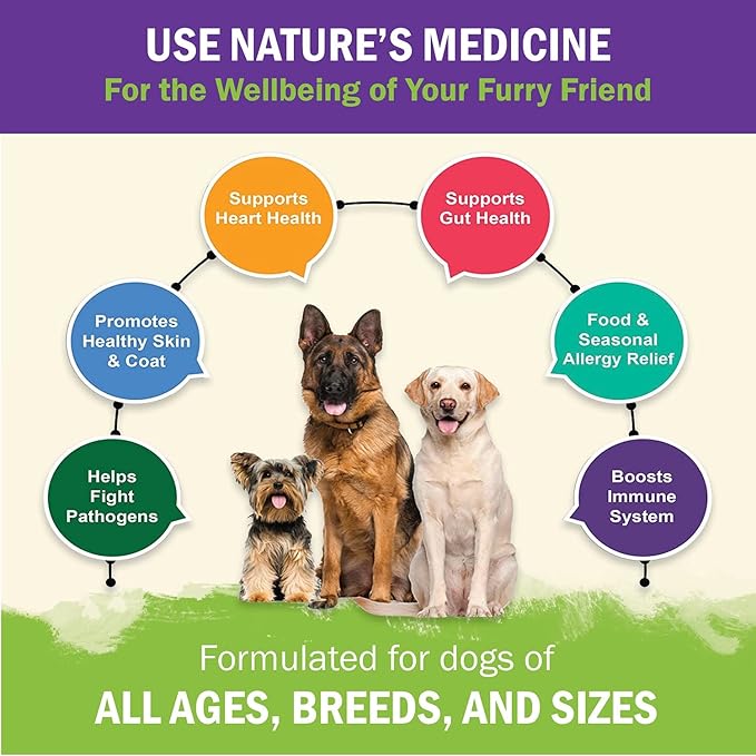 ZENAPET Dog Immune Support Premium Powder Topper, Turkey Tail, Spirulina & Beta-Glucan, Supports a Healthy Immune System & Digestion, Human-Grade, Made in USA