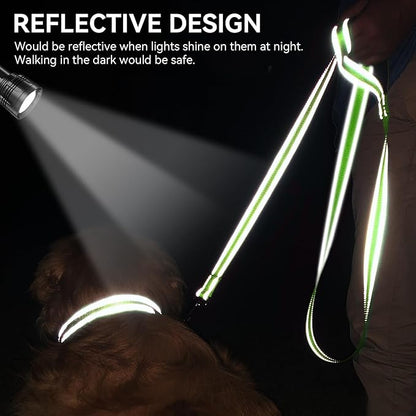 Joytale Dog Leash, 5 FT Double-Sided Reflective, Padded Handle Nylon Heavy Duty Leashes for Small Dogs Walking, Green
