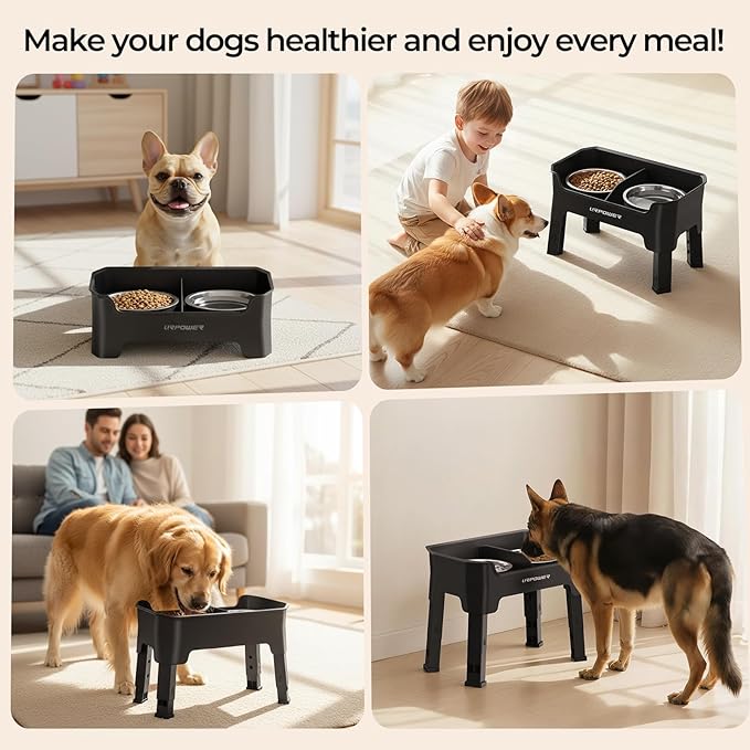 URPOWER Mess Proof Elevated Dog Bowls, High Wall Splash Guard Design, 4 Height Adjustable Raised Bowl Stand, 2 Stainless Steel Bowls, Non-Slip Food Water Set for Small Medium Large Dogs