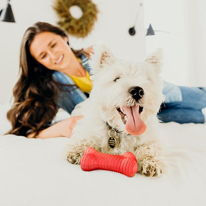 Playology Dog Toys | Dual Layer Bone Chew Toy Bone for Dogs (Value 2-Pack) | Medium Beef Scented Toy - Easy to Clean and Made from Non Toxic Materials