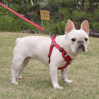 Dog Harness and Leash Set, Adjustable Triangle, Reflective Adjustable Puppy Vest, No Pull Soft Mesh Harness for Small, Medium Dogs, Cats (Red, M)