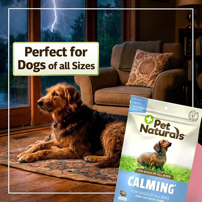 Pet Naturals Calming for Dogs, 30 Chews - Naturally Sourced Stress and Anxiety Calming Ingredients for Behavior Support - Vet Recommended