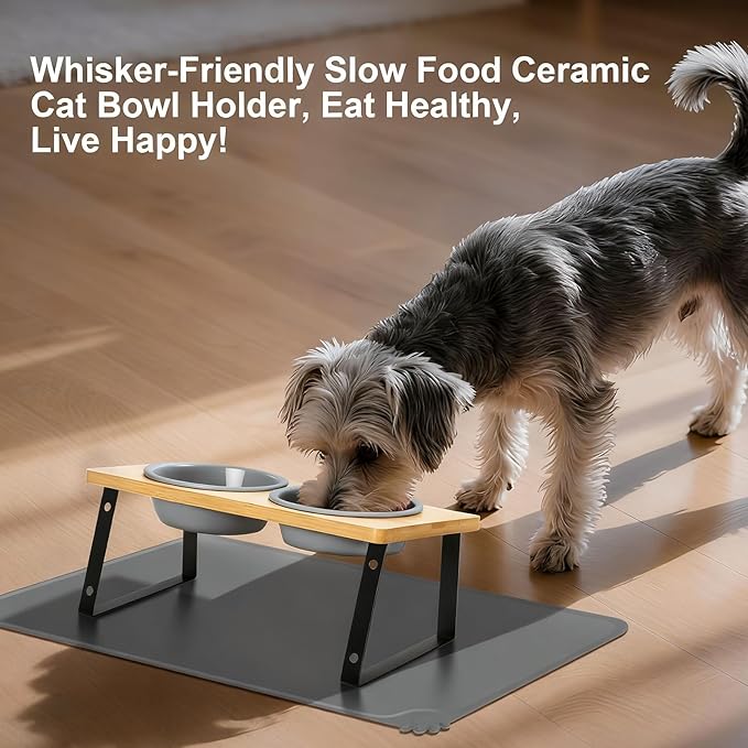 LEAWALK Upgraded Adjustable Height Cat Food Bowls Stand Ceramic Dog Bowls and Slow Feeder Cat Bowl, 15°Tilted Stand Anti Vomiting Raised for Small and Medium Sized Cats Dogs (Grey (2 Bowl+Pet mat))