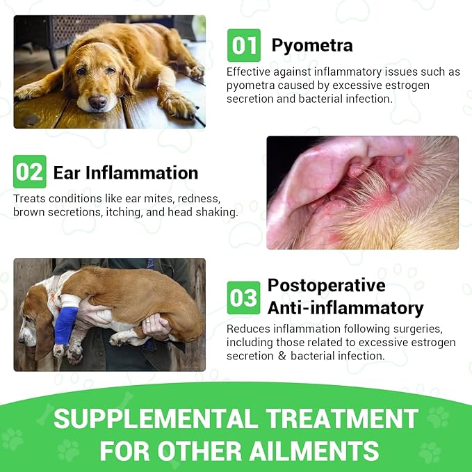 Milk Thistle for Dogs - Liver & Kidney Support, Natural Detox & Hepatic Health, with Wild Alaskan Salmon Oil & Curcumin, Omega 3 and Silymarins - Veterinarian-Formulated Herbal Supplement 2 Oz (2Pack)