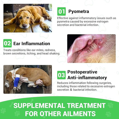 Milk Thistle for Dogs - Liver & Kidney Support, Natural Detox & Hepatic Health, with Wild Alaskan Salmon Oil & Curcumin, Omega 3 and Silymarins - Veterinarian-Formulated Herbal Supplement 2 Oz (2Pack)