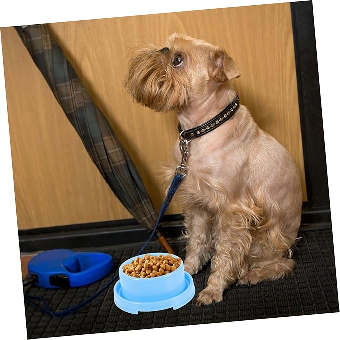 Plastic Feeding Bowl Pet Water and Food Dispenser for Dogs Lightweight and Easy to Material for Indoor Use