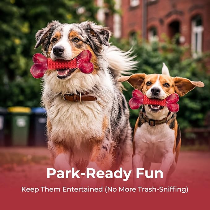 Apasiri Tough Dog Toys for Aggressive Chewers: Beef Flavored Long Lasting Dog Bones for Large Dogs, Heavy Duty Nylon & Rubber Dog Chew Toys to Keep Them Busy, Medium & Large Breed (20-80 lbs), Red