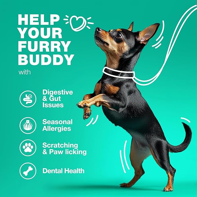 Probiotics for Dogs Gut Health, Digestion, Immunity, Yeast Balance, Itchy Skin, Allergies Support - Dog Probiotic Chews (Travel Pack) with Digestive Enzymes for Gut Flora - Pumpkin and Yeast Powder