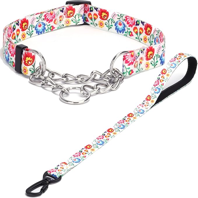 Martingale Dog Collar and Leash Set, Stainless Steel Chain, No Pull Training Collar with Flower Design, for Small, Medium, Large Dogs (NO25, S)