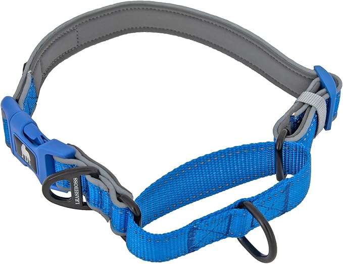 Leash Boss Martingale Collar for Dogs | Reflective Nylon Dog Collar for Large Dogs, Medium and Small Dogs | No Pull Pet Training Collar | Quick Release Buckle, Adjustable Pet Collar