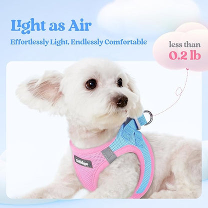rabbitgoo Dog Harness Small Medium Sized and Leash Set, Step in Soft Light Puppy Vest, Breathable Mesh Pet Harness, Reflective for Safe Easy Walking, Blue & Light Pink L