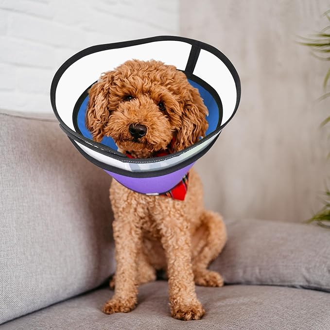 Dog Cones for Medium Large Dogs, Soft Dog Cone Collar Alternative for After Surgery