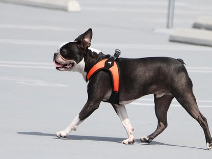 Gooby Escape Free Easy Fit Harness - Orange, Small - No Pull Step-in Patented Dog Harness with Quick Release Buckle for Small to Medium Dogs