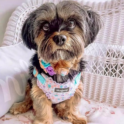 Blueberry Pet Dog Collar, Adjustable Floral Print Puppy Collar in Lavender with Removable Flower, Small 12"-16" Neck, Cute Girl Dog Accessories, Pink Dog Collars for Small Dogs, Safe Fit