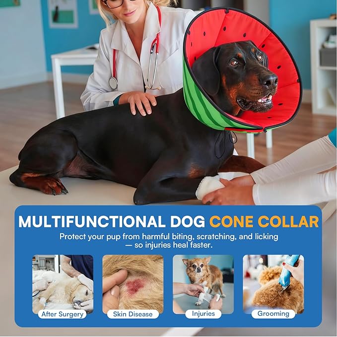 Queenmore Dog Cones for Small Dogs, Dog Cone Collar to Prevent Licking Wounds, Adjustable Comfy Cone for Dogs, Adjustable Elizabethan Collar for Pets, Watermelon S