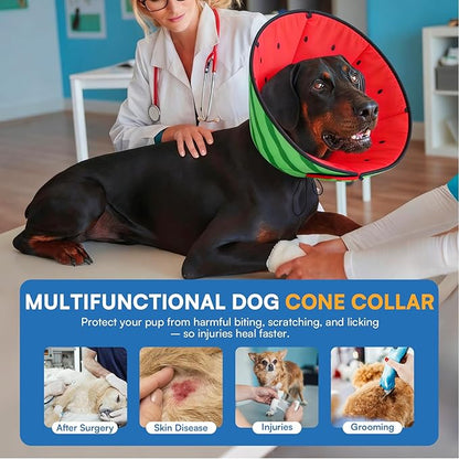 Queenmore Soft Cone for Dogs, Dog Cones for Large Dogs to Stop Licking, Dog Soft Cone, Elizabethan Collar for Pets, Alternative Pet Recovery Collar for Wound Healing, Watermelon L