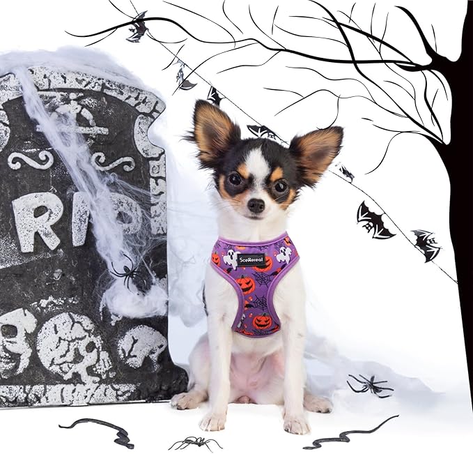 SCENEREAL Halloween Small Dog Harness Collar and Leash Set, Adjustable No Pull Pet Harnesses, No Chock Soft Mesh Vest Costume for Doggie Puppy Dogs Cats Girl Boy Outdoor Walking