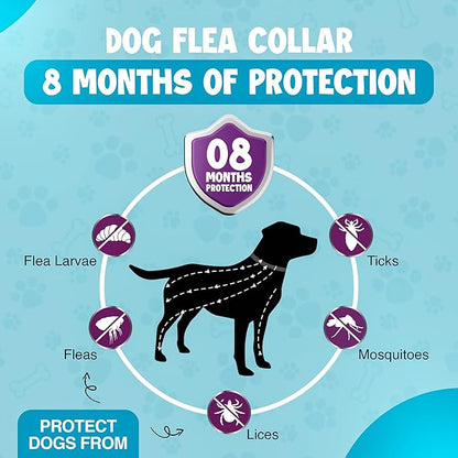 Dog Flea and Tick Collar 8-Month Protection All Natural Flea Collar for Dogs & Puppies with Flea Comb, Shell Comb, Tick Tweezers & Tick Removal Tool | 5-in-1 Dog Flea Collar & Protection Kit