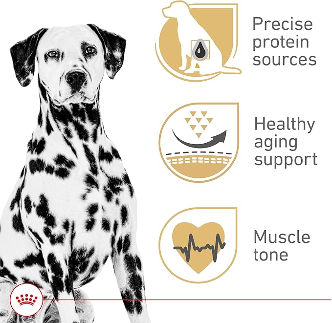 Royal Canin Breed Health Nutrition Dalmatian Adult Dry Dog Food, 30 lb Bag