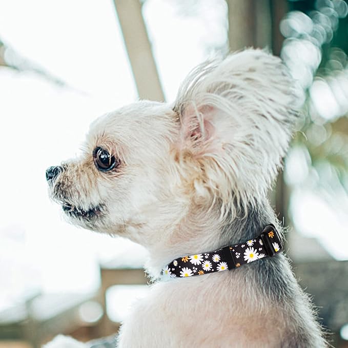 QQPETS Adjustable Soft Dog Collar: Print Flower Pink Multicolor Cute Patterns for XS Small Medium Large Pet Girl Boy Puppy Walking Running Training (M, White Daisy)