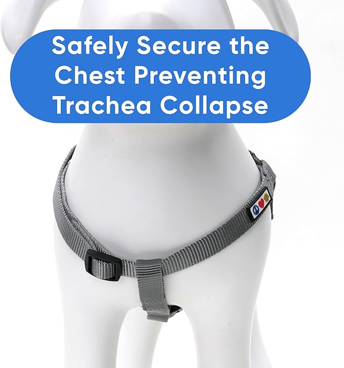 Pawtitas Solid Step-in Dog Harness – Adjustable No-Pull Vest for Puppies to Seniors, Safe & Comfortable L Grey