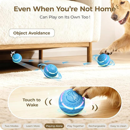Apasiri Interactive Dog Toys: Automatic Moving Dog Balls with LED Lights, Puppy Toy to Keep Them Busy, Shaky Dog Ball for Small,Medium,Large Dogs, Dog Toys for Aggressive Chewers,Rechargeable - (Blue)