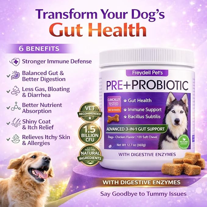 Freydell Pets Probiotics for Dogs– Digestive Enzymes, Prebiotics & Fiber Soft Chews – Gut Health, Diarrhea Relief, Yeast Balance, Immune Support, Pumpkin & Papaya – Dog Probiotic Supplement 120 Chews