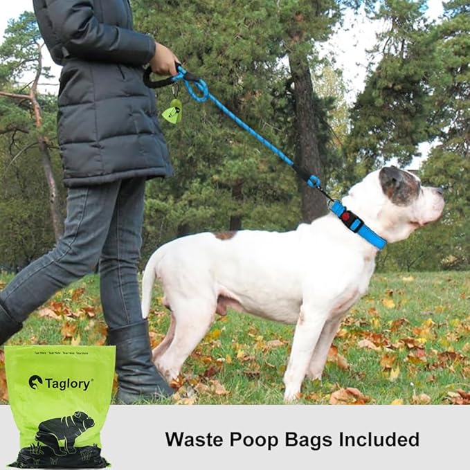 Taglory Rope Dog Leash 6 FT with Comfortable Padded Handle, Highly Reflective Threads Leash and Anti-Tangle Clip for Walking Medium Large Dogs, 1/2 inch, Blue