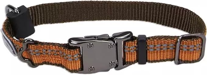Coastal Pet K9 Explorer Reflective Adjustable Dog Collar - Comfortable Collar for the Outdoors - Durable, Lightweight Accessory with Side-Release Buckle - Campfire Orange, 1" x 18-26"