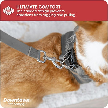 Downtown Pet Supply Step-in Dog Harness – No Pull, Adjustable Padded Mesh with Reflective Trim, Secure Buckle Strap – Comfortable & Breathable Small Dog Harness, Medium, Light Gray