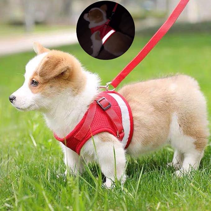 FEimaX Dog Harness and Leash Set for Walking, Soft Mesh Adjustable Easy Control Lightweight Cat Vest Harnesses with Reflective Strips, Escape Proof Small Dogs Cats Vests (Red, Large)
