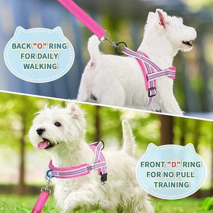 Lukovee No Pull Dog Harness and Leash Set, Soft Padded Small Dog Harness, Neck & Chest Adjustable Reflective Vest Puppy Harness with 4ft Lightweight Anti-Twist Dog Leash for Small Dogs (XS, Fuschia)