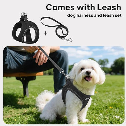 PetiFine Step in Small Dog Harness and Leash Set, Breathable All Weather Air Mesh Reflective Escape Proof, Step-in Vest Harnesses for Puppy(XS, Black)