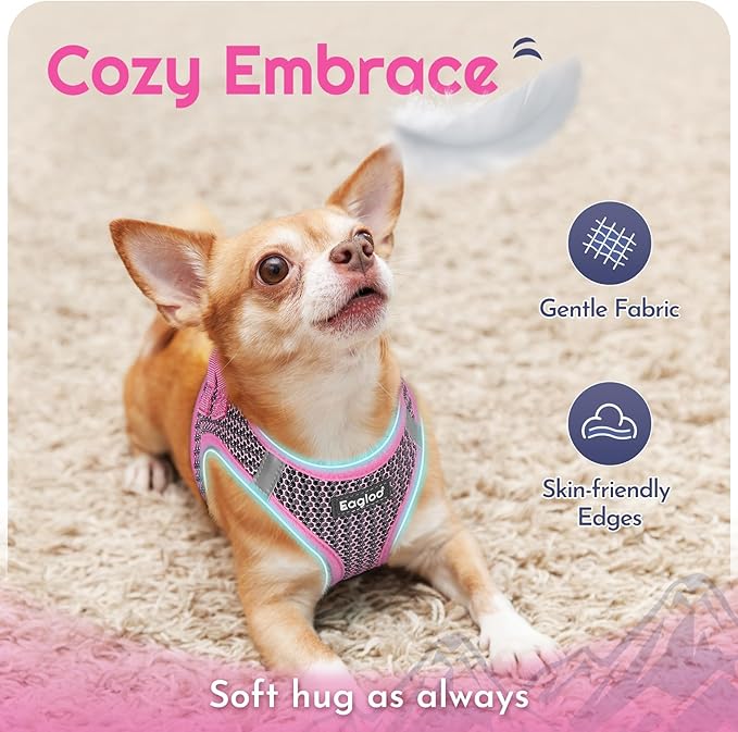 Eagloo Small Dog Harness and Leash Set, Step in Puppy Vest with Breathable Soft Mesh, Walking Reflective Pet Harness for Medium Small Dogs, Pink, M