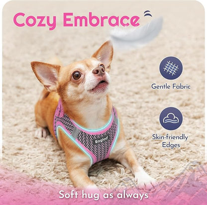 Eagloo Small Dog Harness and Leash Set, Step in Puppy Vest with Breathable Soft Mesh, Walking Reflective Pet Harness for Medium Small Dogs, Pink, M