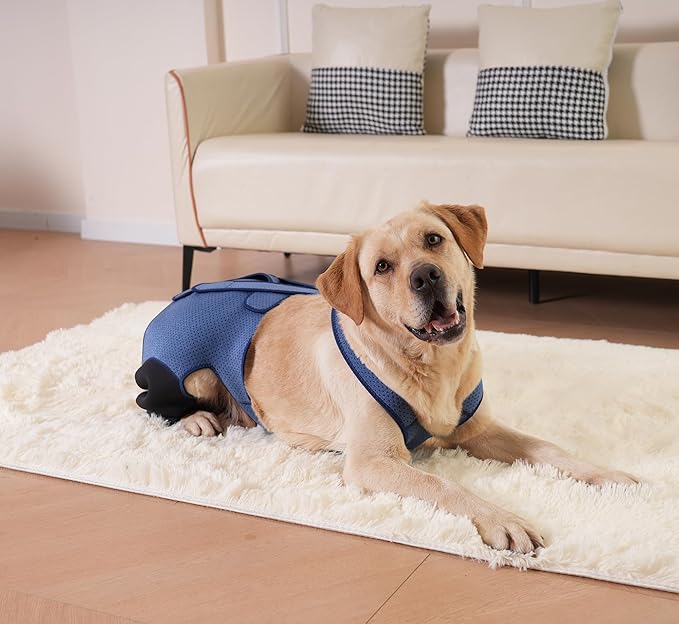 Dog Hind Leg Recovery Sleeve Dog Recovery Suit as Cone Collar Alternative, 2.5mm Thick and Waterproof, Prevent Pet Wounds Licking, Biting (2XLarge)