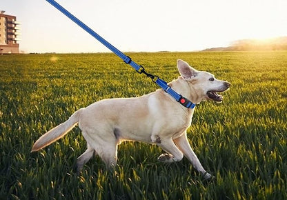Martingale Dog Collar and Leash Set Martingale Collars for Dogs Reflective Martingale Collar for Small Medium Large Dogs(Blue&M)