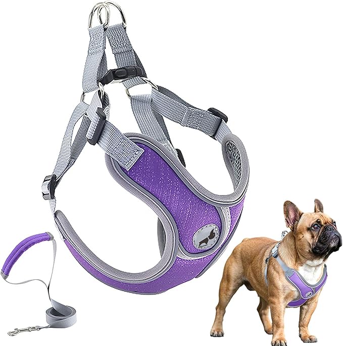 Dog Harness with Leash Set, Adjustable Step in Collars Harness with Breathable Padded Vest for Medium Dogs Training and Running (M, Purple)