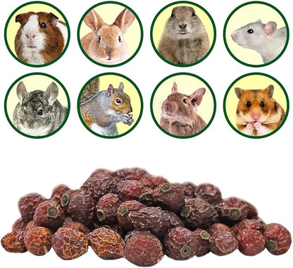 Exotic Nutrition Dried Rose HIPS (3 oz.) - Healthy Natural Treat - Chinchillas, Guinea Pigs, Rabbits, Prairie Dogs, Degus, Hamsters, Rats, Squirrels, Parrots, Chickens, Ducks & Other Small Pets