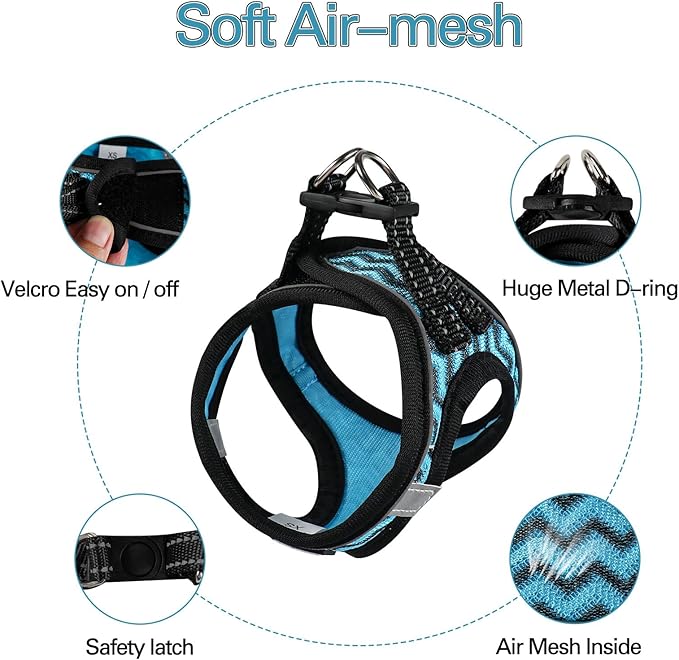 YIMEIS Dog Harness (XS, Blue) for Small Dogs, Lightweight Harness & Leash Set, Adjustable, Reflective, Breathable, 360°Visibility, Playful Style