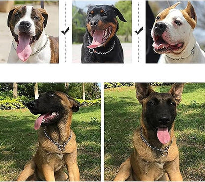 Chain Choke Collar for Dogs, Metal Slip Link Training Heavy Duty Dog Collar Martingale Puppy Collars for XXS XS Small Medium Large Big XL Breed Dogs (Silver, M(Neck Max 18inch) D3mm)