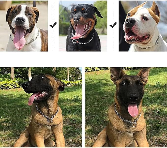 Dog Choke Collar Slip P Chain,Heavy Chain Dog Metal Training Choke Collars, Martingale Puppy Collars for XS Small Medium Large Big XL Breed Dogs (Silver, M(Neck Max 18inch) D3.0mm)
