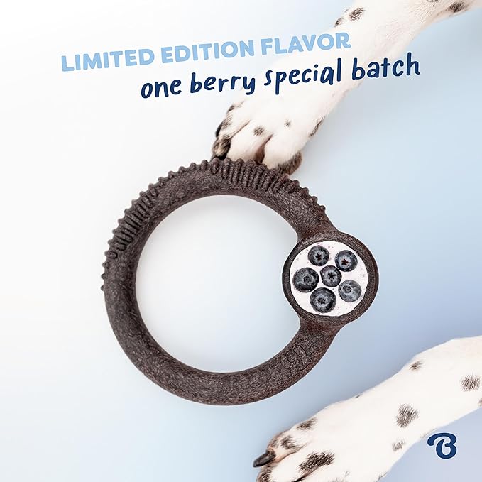 Benebone Ring Durable Dog Chew Toy for Aggressive Chewers – Limited Edition Blueberry Flavor, Large