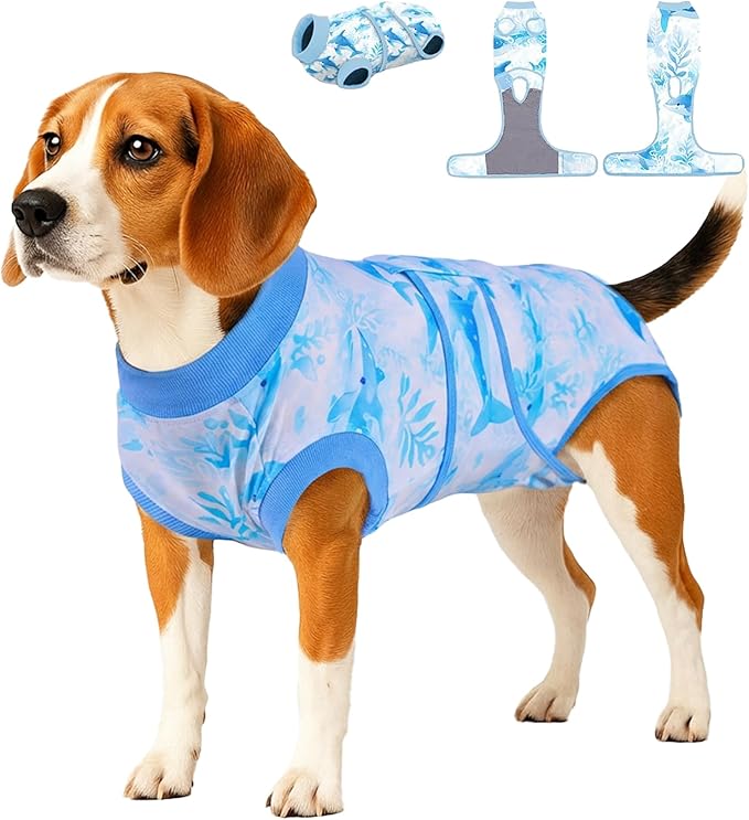 PetWarm Recovery Suit for Dogs, Surgical Onesie for Female Spay Male Neutered, After Surgery Dog Onesie, Anti-Licking After Surgery Recovery Suit, Marine Animal Patterns, Blue, L