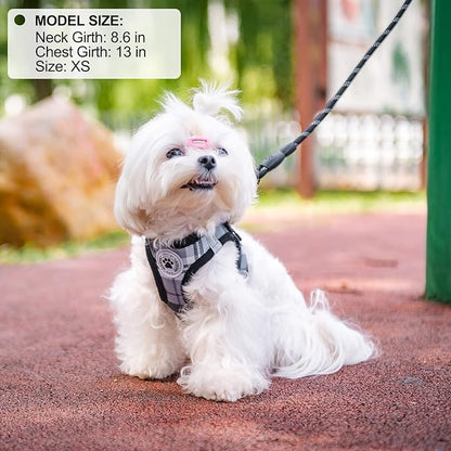 BEAUTYZOO Small Dog Harness and Leash Set,Step in No Choke No Pull Soft Mesh Dog Harnesses Reflective for Extra-Small Medium Puppy Dogs and Cats, Plaid Dog Vest Harness for XS S Pets, Grey XS
