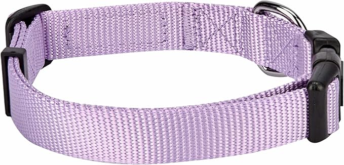 Blueberry Pet Essentials Matching Harness, Collar & Leash Set in Lavender, Adjustable Nylon for Medium & Large Breeds