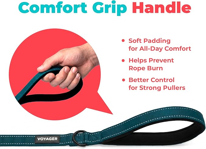 Best Pet Supplies Voyager Reflective Dog Leash or Collar with Neoprene Handle, for Small, Medium, and Large Breed Puppies, Cute and Heavy Duty for Walking, Running and Training - Blue (Leash), L
