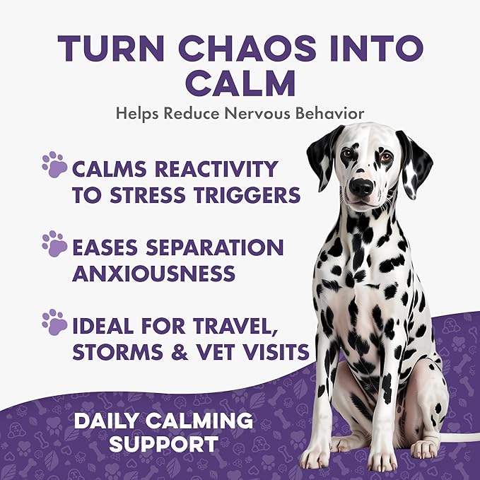 Peaceful Paws Dog Behavior Support – Natural Dog Anxiety Relief and Calming Care for Dogs – Gentle Aid for Separation Anxiety Relief for Dogs, Barking, Travel & Aggression ( 400 Tiny Pills)