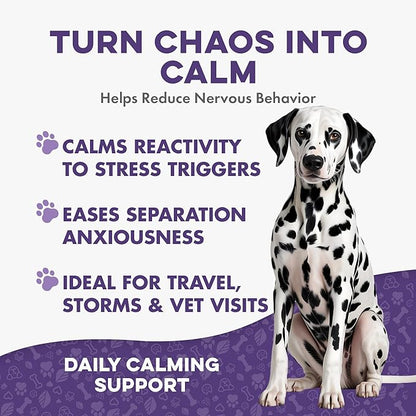 Peaceful Paws Dog Behavior Support – Natural Dog Anxiety Relief and Calming Care for Dogs – Gentle Aid for Separation Anxiety Relief for Dogs, Barking, Travel & Aggression ( 400 Tiny Pills)