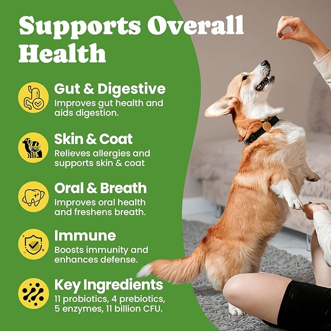 Probiotics for Dogs - Digestive & Gut Health for Sensitive Stomachs ，Dog Probiotics Powder for Skin & Coat, Breath and Immunity with 11 Strains, 4 Prebiotics, 5 Enzymes, Pumpkin, 60 Packets, Chicken